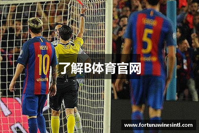 了解B体育官网